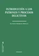 Introducción a los Patrones y Procesos Delictivos Introducción a los Patrones y Procesos Delictivos