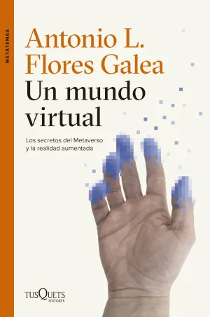 Un Mundo Virtual