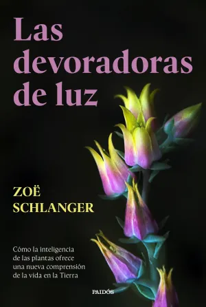 Las Devoradoras de Luz