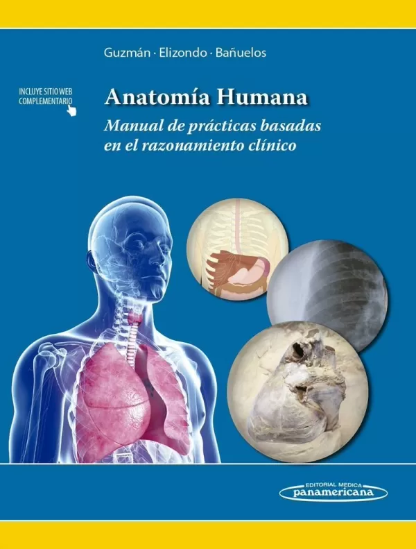 Materia anatomia humana